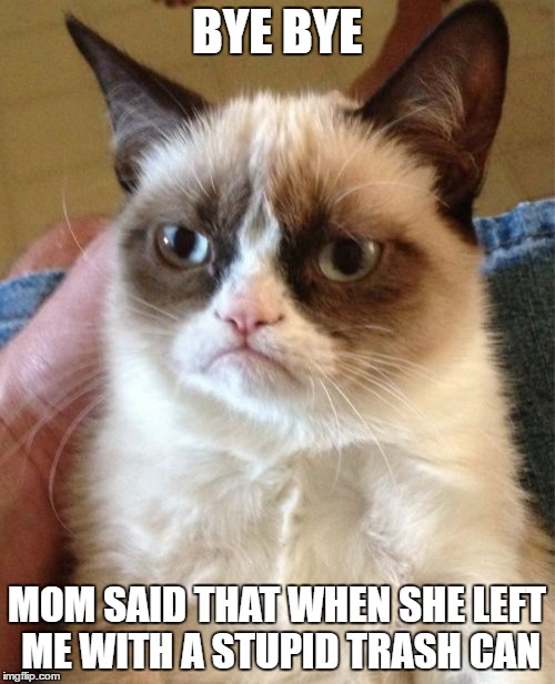 Grumpy Cat Meme | BYE BYE MOM SAID THAT WHEN SHE LEFT ME WITH A STUPID TRASH CAN | image tagged in memes,grumpy cat | made w/ Imgflip meme maker
