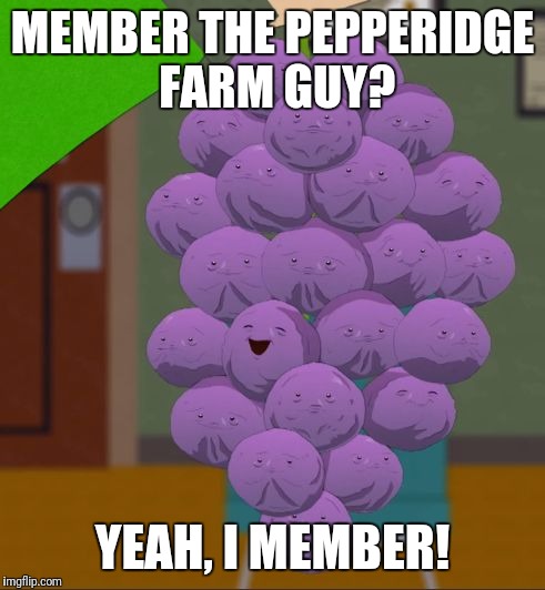 member berries  | MEMBER THE PEPPERIDGE FARM GUY? YEAH, I MEMBER! | image tagged in member berries,memes | made w/ Imgflip meme maker