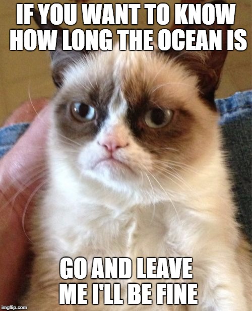 Grumpy Cat | IF YOU WANT TO KNOW HOW LONG THE OCEAN IS; GO AND LEAVE ME I'LL BE FINE | image tagged in memes,grumpy cat | made w/ Imgflip meme maker