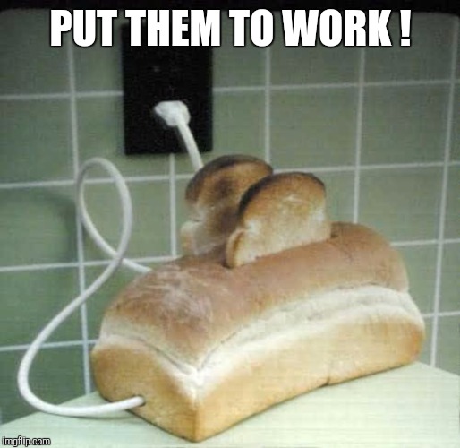 Memes, funny, toast | PUT THEM TO WORK ! | image tagged in memes funny toast | made w/ Imgflip meme maker