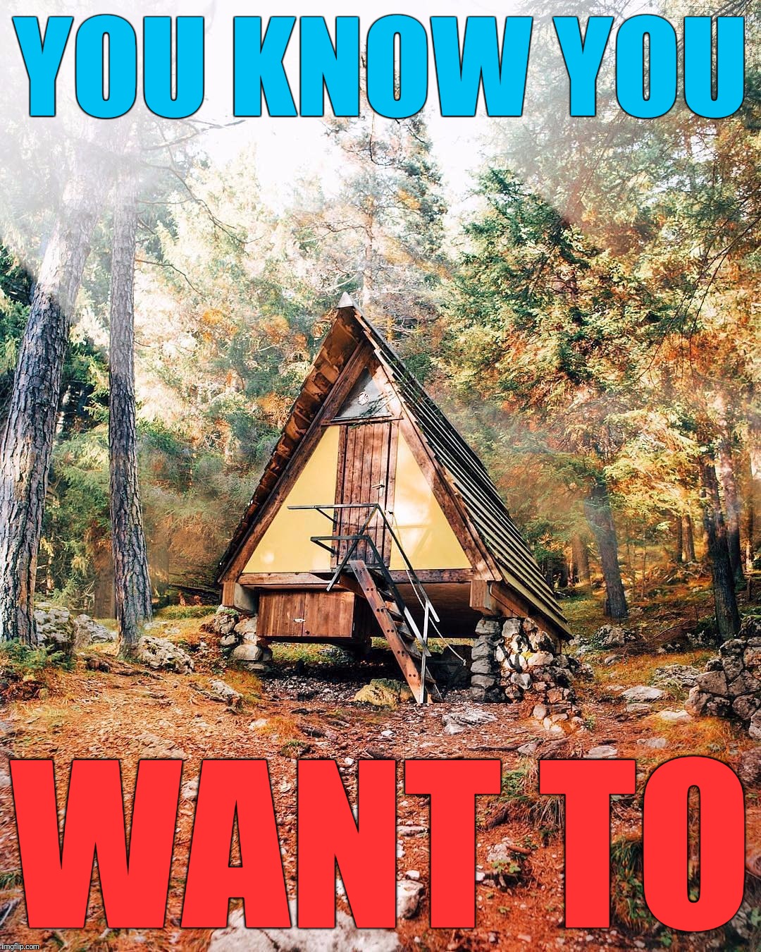 Getaway | YOU KNOW YOU; WANT TO | image tagged in memes,cabin in the woods,retreat,just the two of us,out there,the sound of rain on the roof | made w/ Imgflip meme maker