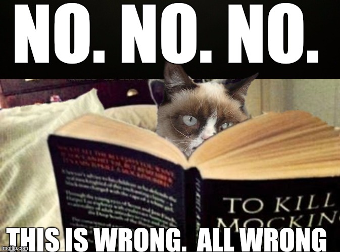 Oh, the disappointment... | NO. NO. NO. THIS IS WRONG.  ALL WRONG | image tagged in memes,grumpy cat,to kill a mockingbird | made w/ Imgflip meme maker