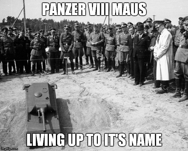 EXPECTATIONS |  PANZER VIII MAUS; LIVING UP TO IT'S NAME | image tagged in tank,panzer,maus | made w/ Imgflip meme maker