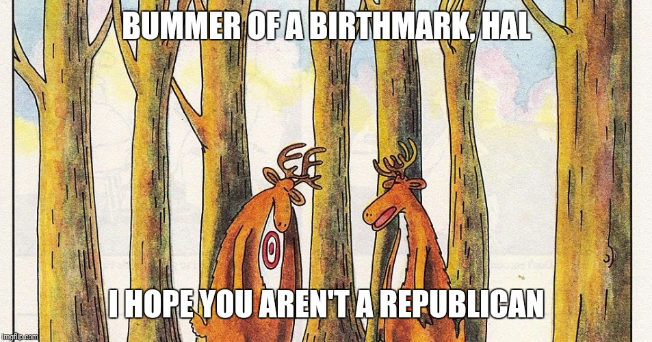 Birthmark | BUMMER OF A BIRTHMARK, HAL; I HOPE YOU AREN'T A REPUBLICAN | image tagged in birthmark | made w/ Imgflip meme maker