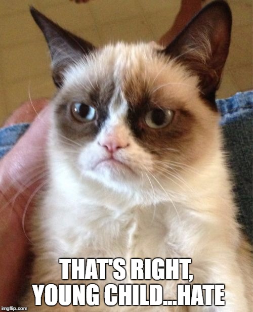 Grumpy Cat Meme | THAT'S RIGHT, YOUNG CHILD...HATE | image tagged in memes,grumpy cat | made w/ Imgflip meme maker