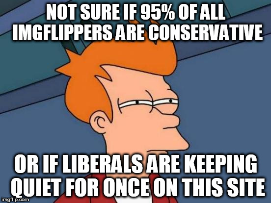 I prefer the former but I'll take the latter | NOT SURE IF 95% OF ALL IMGFLIPPERS ARE CONSERVATIVE; OR IF LIBERALS ARE KEEPING QUIET FOR ONCE ON THIS SITE | image tagged in memes,futurama fry,imgflippers | made w/ Imgflip meme maker