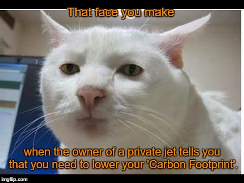 That face you make | That face you make; when the owner of a private jet tells you that you need to lower your 'Carbon Footprint'. | image tagged in memes,climate change,fact vsfiction,surprised face | made w/ Imgflip meme maker