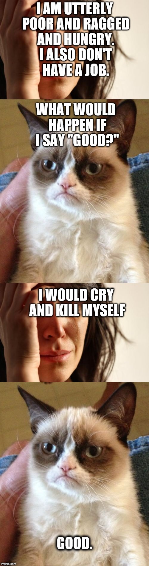 I AM UTTERLY POOR AND RAGGED AND HUNGRY. I ALSO DON'T HAVE A JOB. WHAT WOULD HAPPEN IF I SAY "GOOD?"; I WOULD CRY AND KILL MYSELF; GOOD. | image tagged in grumpy cat | made w/ Imgflip meme maker