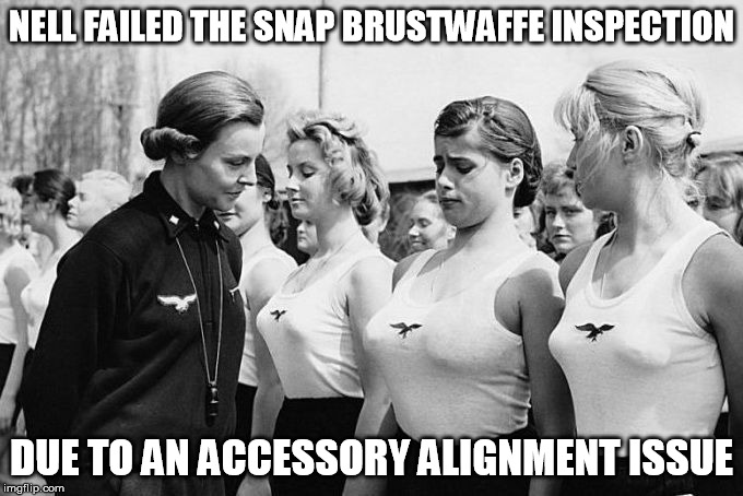 Inspections Are Supposed To Be Hard | NELL FAILED THE SNAP BRUSTWAFFE INSPECTION; DUE TO AN ACCESSORY ALIGNMENT ISSUE | image tagged in breasts,germans | made w/ Imgflip meme maker