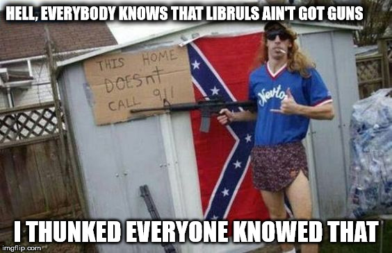 HELL, EVERYBODY KNOWS THAT LIBRULS AIN'T GOT GUNS I THUNKED EVERYONE KNOWED THAT | made w/ Imgflip meme maker