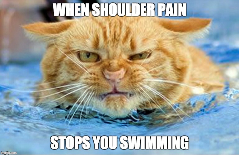 swimmer | WHEN SHOULDER PAIN; STOPS YOU SWIMMING | image tagged in swimmer | made w/ Imgflip meme maker