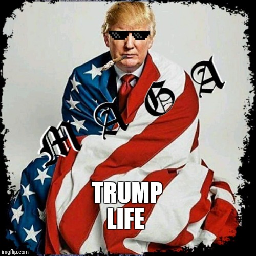 Beatin Libs Down Wit His Mind | TRUMP; LIFE | image tagged in donald trump,thug life,liberals,political meme | made w/ Imgflip meme maker