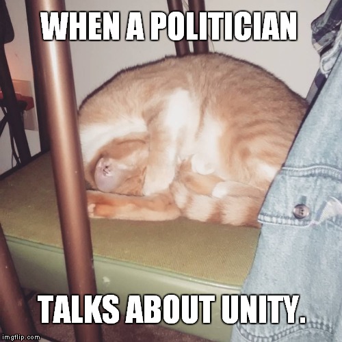 Saying what we want to hear. | WHEN A POLITICIAN; TALKS ABOUT UNITY. | image tagged in politics,cat | made w/ Imgflip meme maker