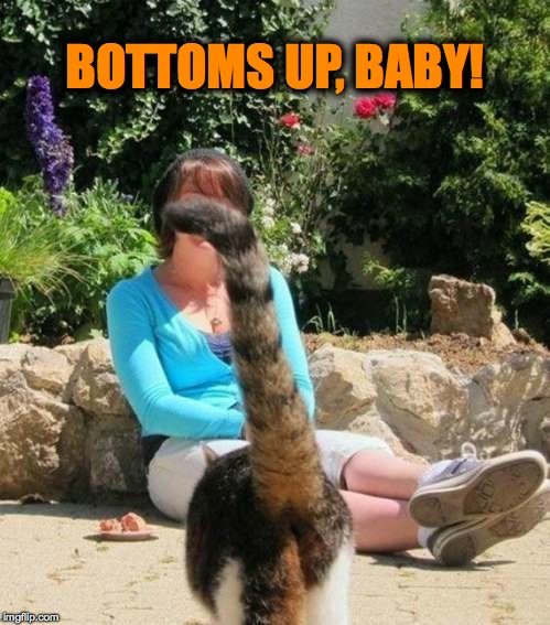 The Ultimate Photobomb | BOTTOMS UP, BABY! | image tagged in north end of southbound kitteh | made w/ Imgflip meme maker
