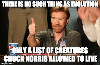 Chuck Norris Approves | THERE IS NO SUCH THING AS EVOLUTION; ONLY A LIST OF CREATURES CHUCK NORRIS ALLOWED TO LIVE | image tagged in memes,chuck norris approves,chuck norris | made w/ Imgflip meme maker