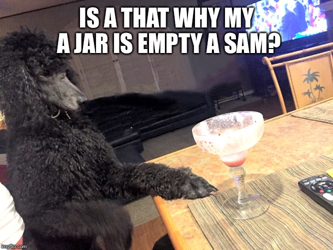 I a need another drink Sam | IS A THAT WHY MY A JAR IS EMPTY A SAM? | image tagged in noah gump at bar,a noah now,mene you see a wing wang,blow the dogs down dog doggy boy,cats cat too | made w/ Imgflip meme maker