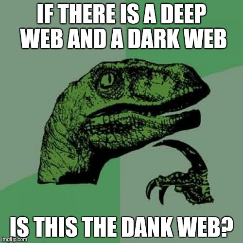 The Most Important Question of Life  | IF THERE IS A DEEP WEB AND A DARK WEB; IS THIS THE DANK WEB? | image tagged in memes,philosoraptor | made w/ Imgflip meme maker