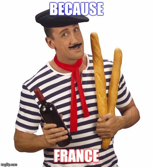 Because France | BECAUSE; FRANCE | image tagged in because france | made w/ Imgflip meme maker