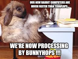 The Fastest Computers.... | OUR NEW RABBIT COMPUTERS ARE MUCH FASTER THAN TERAFLOPS... WE'RE NOW PROCESSING BY BUNNYHOPS !!! | image tagged in bunnyflops,teraflops,computers,computer nerd,rabbit | made w/ Imgflip meme maker