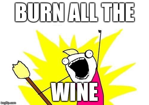 X All The Y Meme | BURN ALL THE WINE | image tagged in memes,x all the y | made w/ Imgflip meme maker