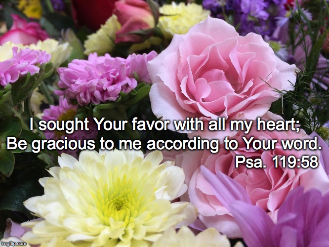 I sought Your favor with all my heart;; Be gracious to me according to Your word. Psa. 119:58 | image tagged in sought | made w/ Imgflip meme maker