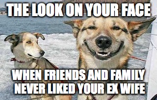 Original Stoner Dog | THE LOOK ON YOUR FACE; WHEN FRIENDS AND FAMILY NEVER LIKED YOUR EX WIFE | image tagged in memes,original stoner dog | made w/ Imgflip meme maker