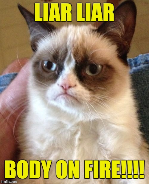 Grumpy Cat | LIAR LIAR; BODY ON FIRE!!!! | image tagged in memes,grumpy cat | made w/ Imgflip meme maker