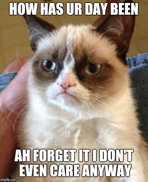 Grumpy Cat Meme | HOW HAS UR DAY BEEN; AH FORGET IT I DON'T EVEN CARE ANYWAY | image tagged in memes,grumpy cat | made w/ Imgflip meme maker