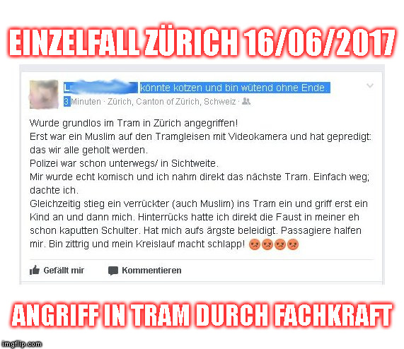 EINZELFALL ZÜRICH 16/06/2017; ANGRIFF IN TRAM DURCH FACHKRAFT | made w/ Imgflip meme maker