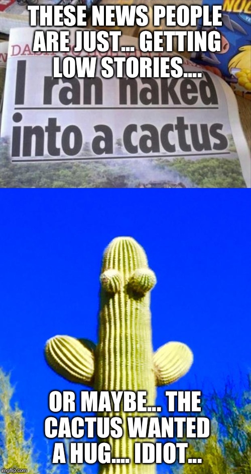 Maybe they wanted a hug... |  THESE NEWS PEOPLE ARE JUST... GETTING LOW STORIES.... OR MAYBE... THE CACTUS WANTED A HUG.... IDIOT... | image tagged in cactus,funny newspapers,banana | made w/ Imgflip meme maker