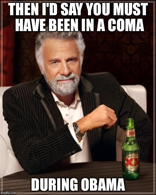 The Most Interesting Man In The World Meme | THEN I'D SAY YOU MUST HAVE BEEN IN A COMA DURING OBAMA | image tagged in memes,the most interesting man in the world | made w/ Imgflip meme maker
