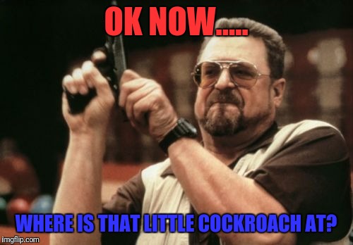Am I The Only One Around Here Meme | OK NOW..... WHERE IS THAT LITTLE COCKROACH AT? | image tagged in memes,am i the only one around here | made w/ Imgflip meme maker
