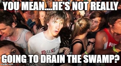 Sudden Clarity Clarence Meme | YOU MEAN....HE'S NOT REALLY; GOING TO DRAIN THE SWAMP? | image tagged in memes,sudden clarity clarence | made w/ Imgflip meme maker