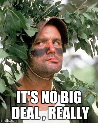 Bill Murray camouflaged | IT'S NO BIG DEAL , REALLY | image tagged in bill murray camouflaged | made w/ Imgflip meme maker