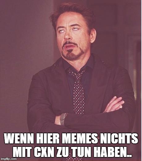 Face You Make Robert Downey Jr Meme | WENN HIER MEMES NICHTS MIT CXN ZU TUN HABEN.. | image tagged in memes,face you make robert downey jr | made w/ Imgflip meme maker