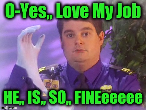 TSA Douche Meme | O-Yes,, Love My Job; HE,, IS,, SO,, FINEeeeee | image tagged in memes,tsa douche | made w/ Imgflip meme maker