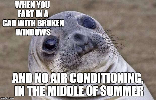 Awkward!!!!!!!! | WHEN YOU FART IN A CAR WITH BROKEN WINDOWS; AND NO AIR CONDITIONING, IN THE MIDDLE OF SUMMER | image tagged in memes,awkward moment sealion,fart | made w/ Imgflip meme maker