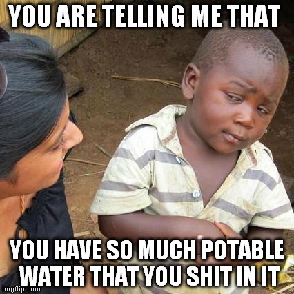 you shit in water??? | YOU ARE TELLING ME THAT; YOU HAVE SO MUCH POTABLE WATER THAT YOU SHIT IN IT | image tagged in memes,third world skeptical kid,toilet humor,shit | made w/ Imgflip meme maker