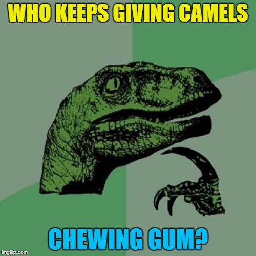 They always look like they are chewing gum... | WHO KEEPS GIVING CAMELS; CHEWING GUM? | image tagged in memes,philosoraptor,camels,animals,chewing gum | made w/ Imgflip meme maker