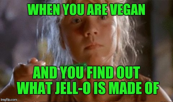 WHEN YOU ARE VEGAN AND YOU FIND OUT WHAT JELL-O IS MADE OF | made w/ Imgflip meme maker