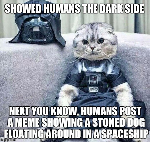 Using the Force | SHOWED HUMANS THE DARK SIDE; NEXT YOU KNOW, HUMANS POST A MEME SHOWING A STONED DOG FLOATING AROUND IN A SPACESHIP | image tagged in darth cat,memes,funny,cat,darth | made w/ Imgflip meme maker