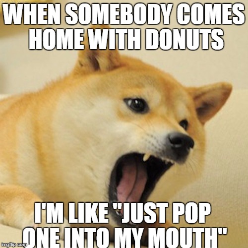 doge mouth open | WHEN SOMEBODY COMES HOME WITH DONUTS; I'M LIKE "JUST POP ONE INTO MY MOUTH" | image tagged in doge,donuts | made w/ Imgflip meme maker