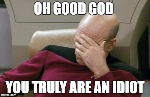 Captain Picard Facepalm | OH GOOD GOD; YOU TRULY ARE AN IDIOT | image tagged in memes,captain picard facepalm | made w/ Imgflip meme maker