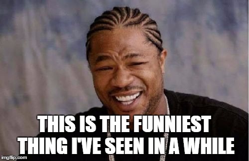 Yo Dawg Heard You Meme | THIS IS THE FUNNIEST THING I'VE SEEN IN A WHILE | image tagged in memes,yo dawg heard you | made w/ Imgflip meme maker
