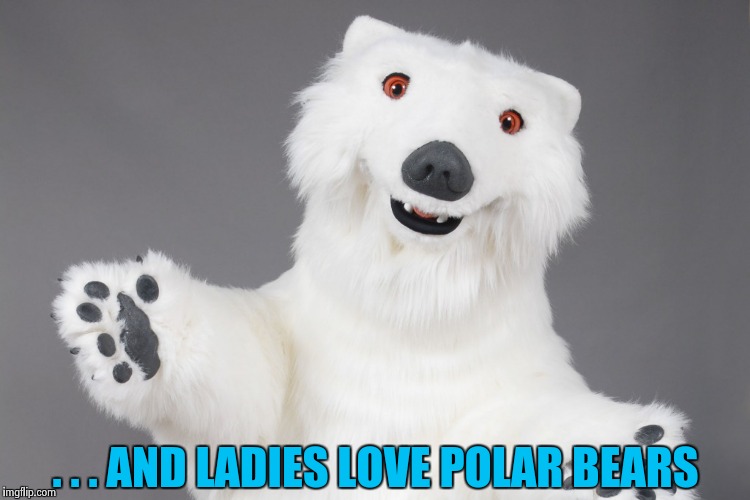 Polar Bear | . . . AND LADIES LOVE POLAR BEARS | image tagged in polar bear | made w/ Imgflip meme maker