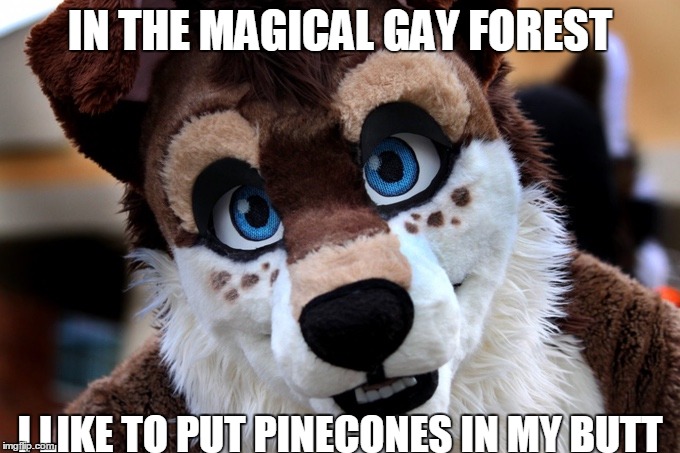 Austin the Furry | IN THE MAGICAL GAY FOREST; I LIKE TO PUT PINECONES IN MY BUTT | image tagged in austin the furry | made w/ Imgflip meme maker