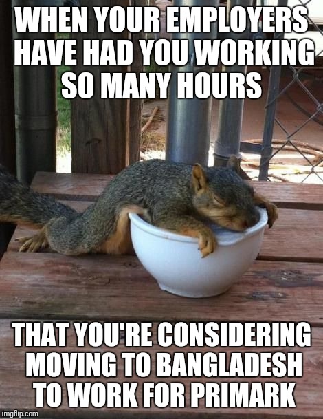 I'll be fine boss | WHEN YOUR EMPLOYERS HAVE HAD YOU WORKING SO MANY HOURS; THAT YOU'RE CONSIDERING MOVING TO BANGLADESH TO WORK FOR PRIMARK | image tagged in exhausted squirrel | made w/ Imgflip meme maker