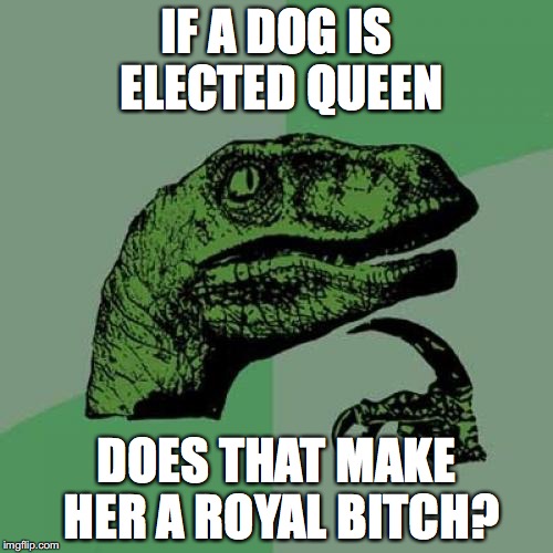 Philosoraptor Meme |  IF A DOG IS ELECTED QUEEN; DOES THAT MAKE HER A ROYAL BITCH? | image tagged in memes,philosoraptor | made w/ Imgflip meme maker