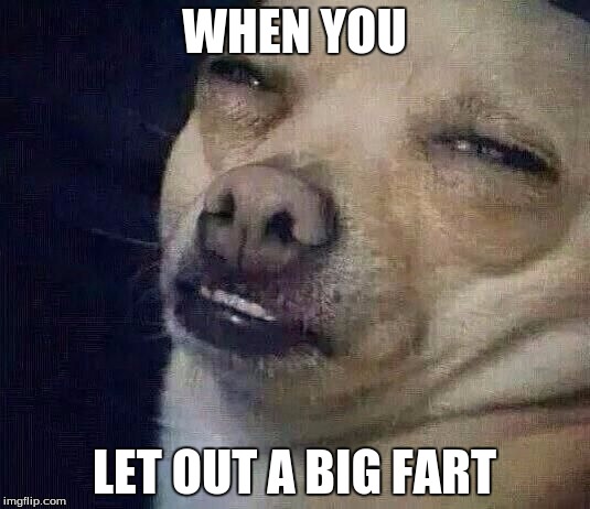 Too Dank |  WHEN YOU; LET OUT A BIG FART | image tagged in too dank | made w/ Imgflip meme maker