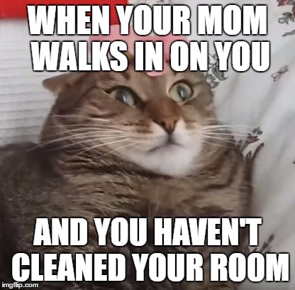 uh i can explain mom |  WHEN YOUR MOM WALKS IN ON YOU; AND YOU HAVEN'T CLEANED YOUR ROOM | image tagged in mother,cat,cute | made w/ Imgflip meme maker